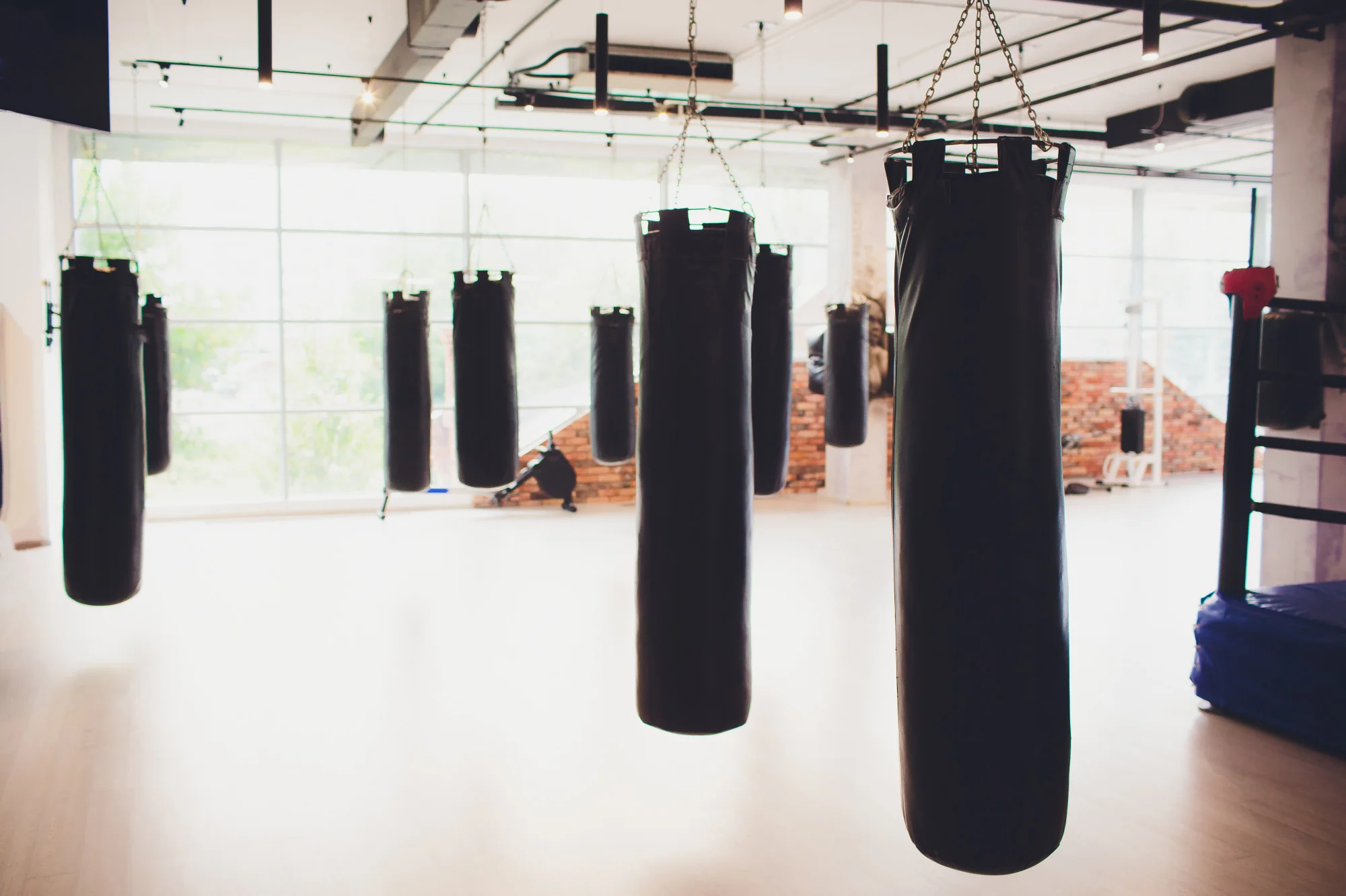 Studio setting for class programmes